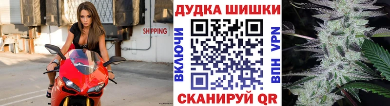 Конопля гибрид  купить   Пучеж 